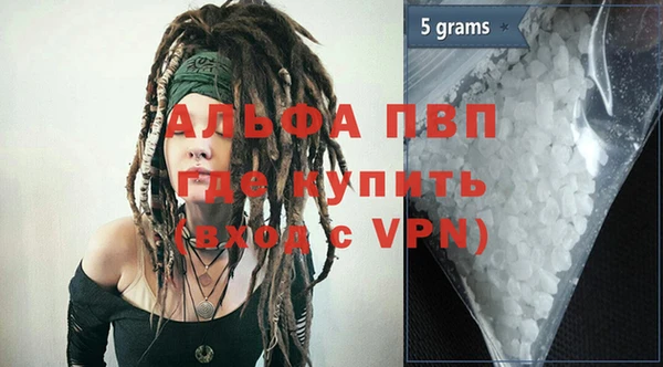 стафф Алзамай