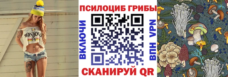 хочу наркоту  Сатка  Галлюциногенные грибы Cubensis 
