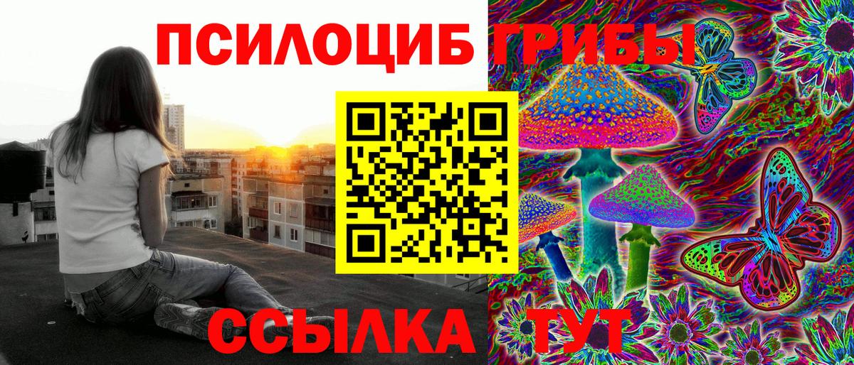 Сатка  Псилоцибиновые грибы GOLDEN TEACHER  Вход с VPN 